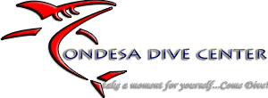 Condesa Divecenter